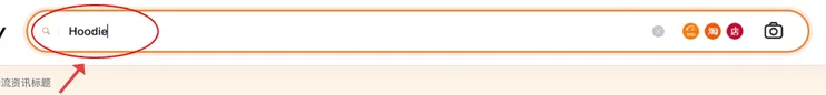 OOTDBUY site search box with the word Hoodie typed in, circled in red in the official tutorial